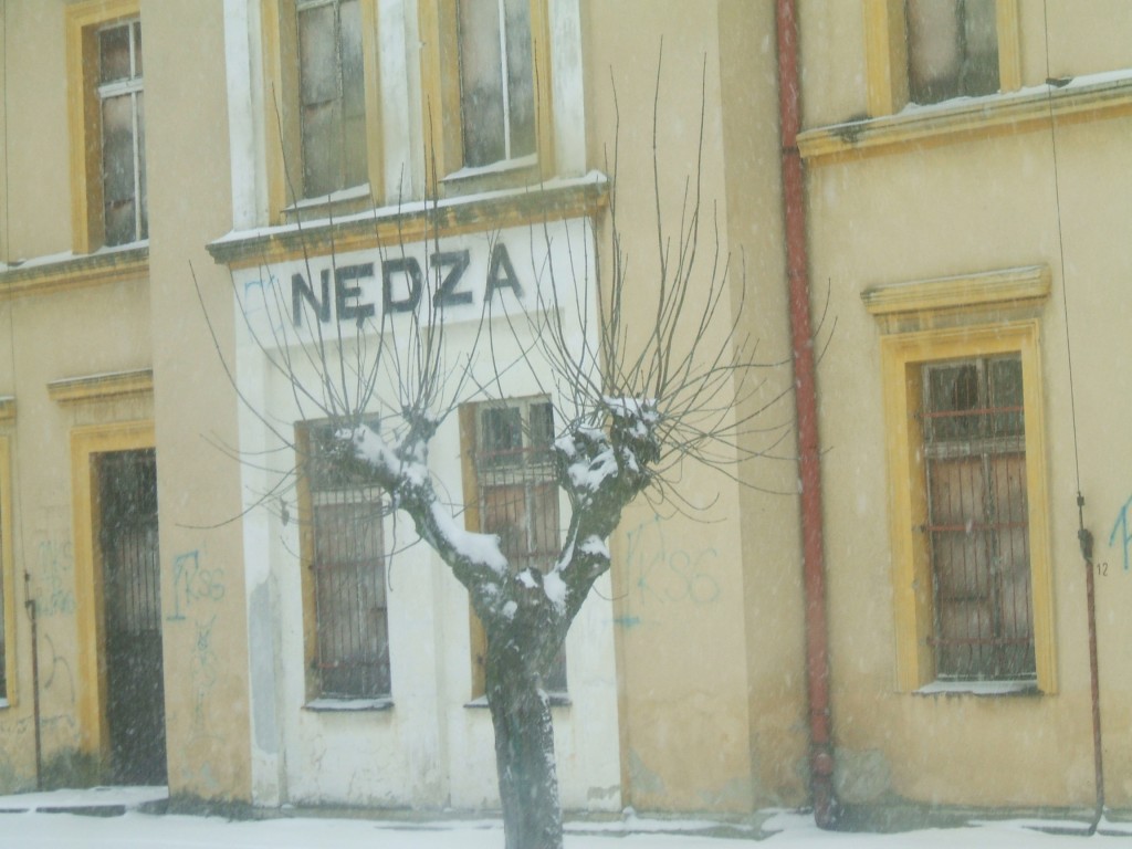 Obrazek